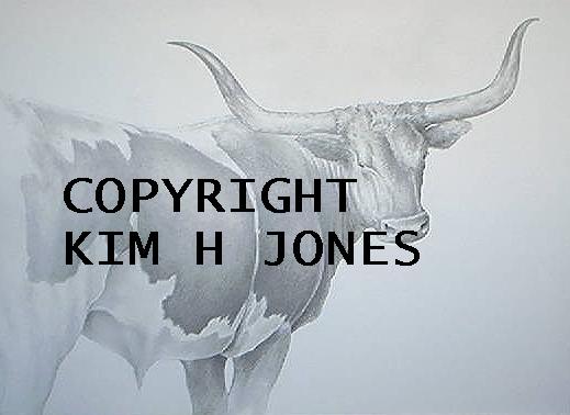 COPYRIGHT KIM H JONES 2002